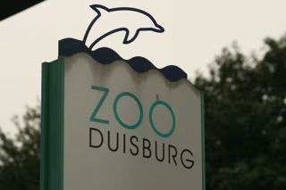 Steuerberater heizt dem Zoo Duisburg kräftig ein