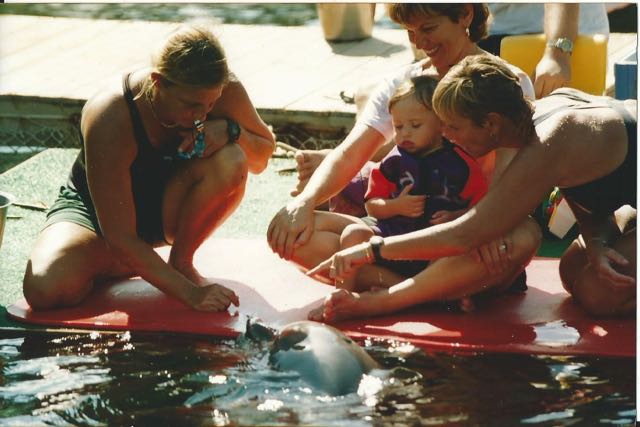 Berufungsverhandlung  dolphin aid gegen das WDSF vor dem OLG Köln?