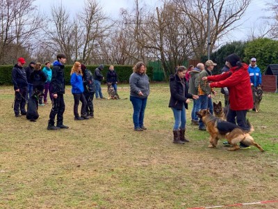 SV-Landesgruppen-Jugendschautraining erfolgreich in Hanau-Großauheim