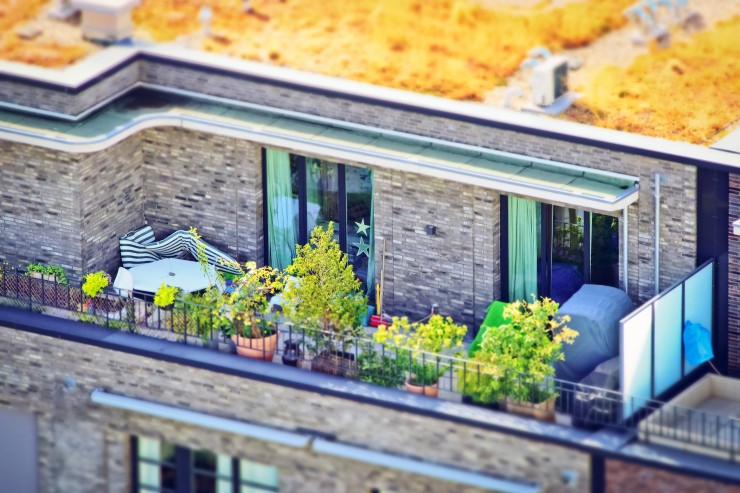 Marktforschungsstudie City Gardening  ein boomender Markt?