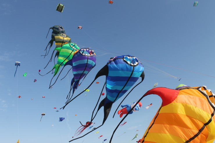 Das Drachenfestival lockt Familien und Drachenfans nach Fehmarn