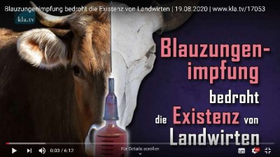 Blauzungenimpfung: Polizeigewalt zerstört die Existenz von Landwirten