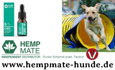 CBD fuer Hunde - natuerliches CBD Oel aus 100% Hanf - immer mehr Tieraerzte, Heilpraktiker, Hundetrainer vertrauen auf CBD