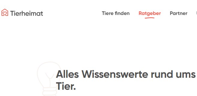 So wird das Leben von Tieren aus dem Tierschutz verbessert