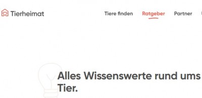 So wird das Leben von Tieren aus dem Tierschutz verbessert