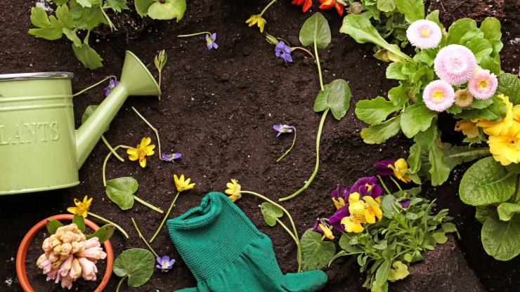 Holle Böhm: Gartenarbeit nach Jahreszeiten