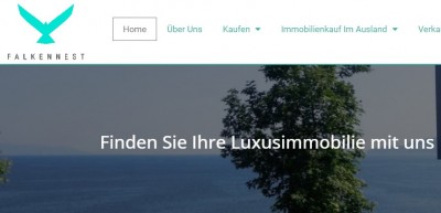 Falkennest Immobilien bringt frischen Wind in den Markt