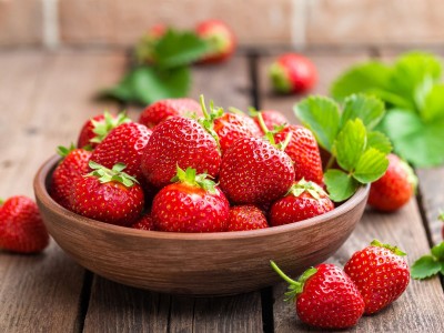 Holle Böhm: Erdbeeren können auch auf dem Balkon gelingen