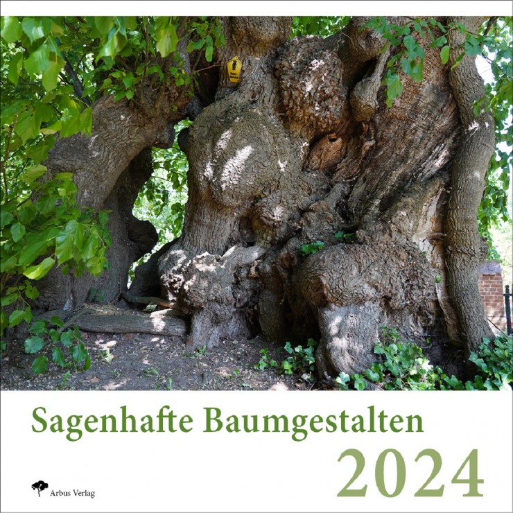 Bäume für ein ganzes Jahr: DIE Baumkalender für 2024