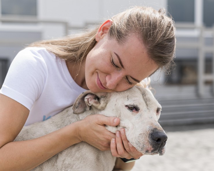 FFTIN Tierheimsponsoring: Wie ist der Mensch auf den Hund gekommen?