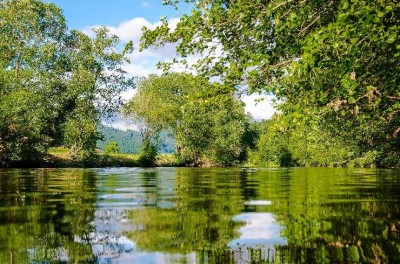 Zahlen zum natürlichen Kohlendioxidkreislauf entlarven den Kohlendioxidschwindel