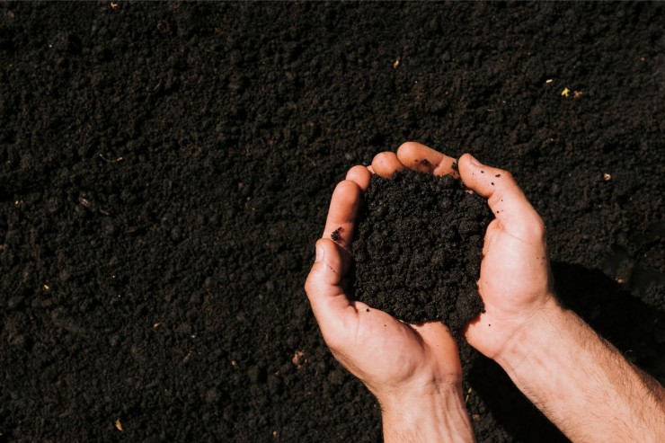 Qualitätskompost von Wurzer Umwelt - Nachhaltige Nährstoffe für Landwirtschaft und Gartenbau Qualitätskompost von Wurzer Umwelt - Nachhaltige Nährstoffe für Landwirtschaft und Gartenbau