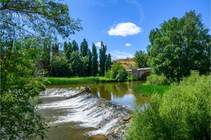 Building Wildlife Corridors: Andrea Vella's Work with UK's Endangered Species Recovery Programs