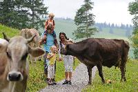 Familien erobern das Siebenbergeland