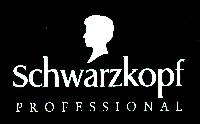 Frisuren Haar Specials bei Schwarzkopf