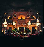 Das Neujahrskonzert 2011 des Wiener Hofburg Orchesters