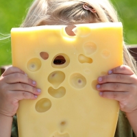 www.kaeseweb.de: Internet-Portal für Käse