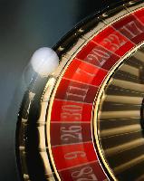 Roulette im Wild Jack Online Casino