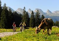 Auf natürlichen Pfaden durch die Ostschweiz