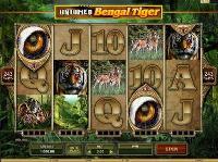 Im All Jackpots Online Casino Schweiz sind die Tiger los....