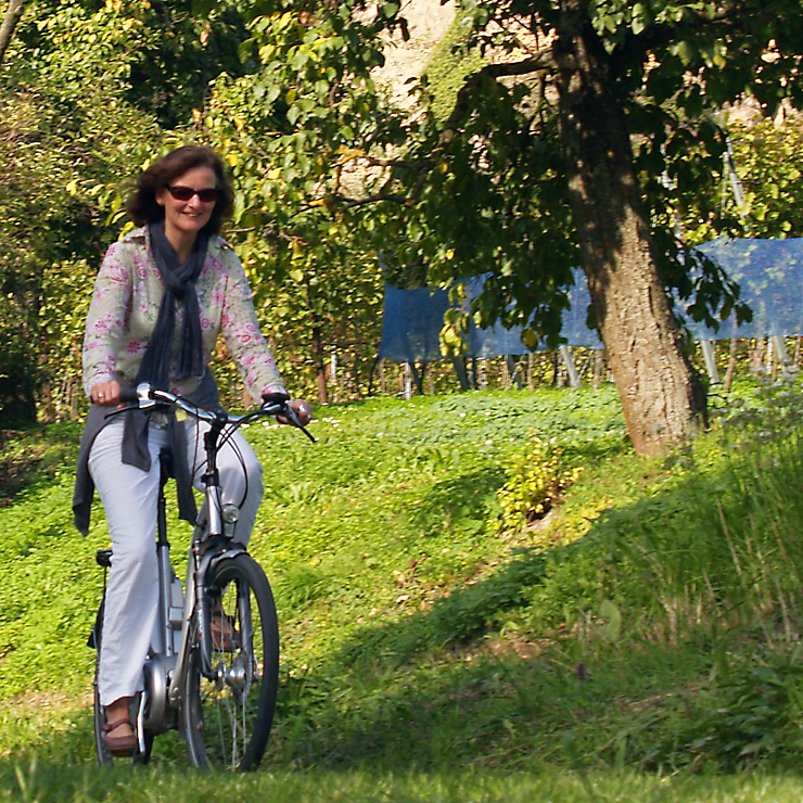 Radfahren im Markgräflerland