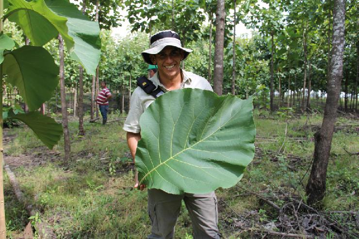 Life Forestry: Teakbäume pflanzen - Zu Besuch in der Eliteschule