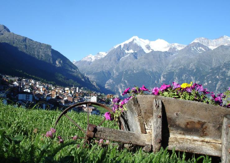 Urlaub in der Schweiz in Grächen