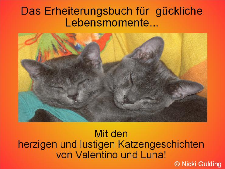 Das Erheiterungsbuch für glückliche Lebensmomente - Mit den herzigen und lustigen Katzengeschichten von Valentino und Luna von Nicki Gülding