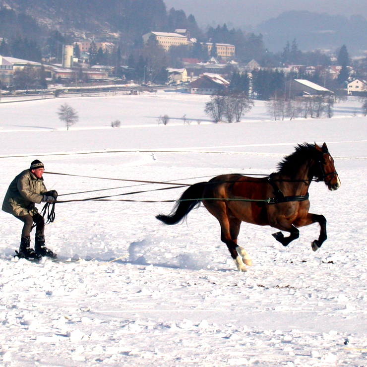 Winter auf der Mittleren Schwäbischen Alb