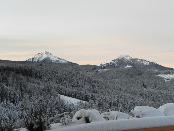 Das Kräuterhotel Zischghof