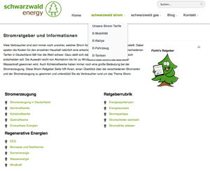 Energiewende bringt frischen Wind in den Strommarkt