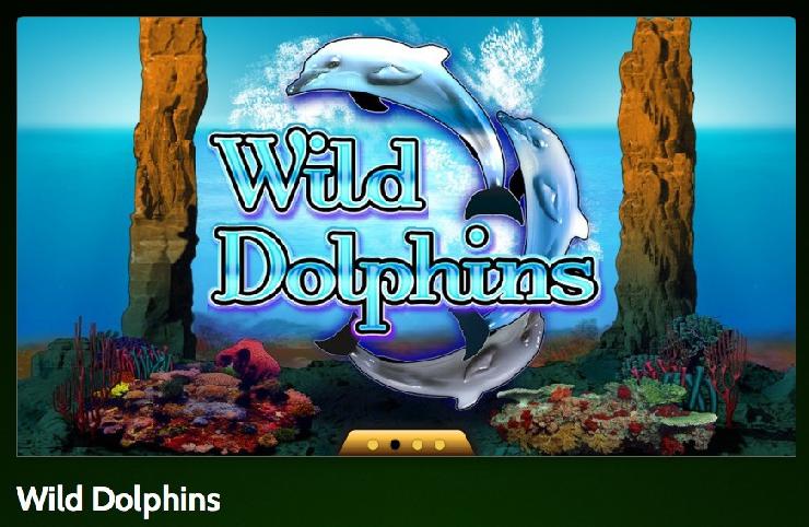 Wild Dolphins im OnlineCasino Deutschland