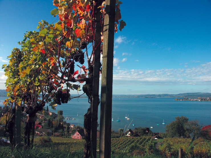 Kulinarisch-herbstlicher Untersee