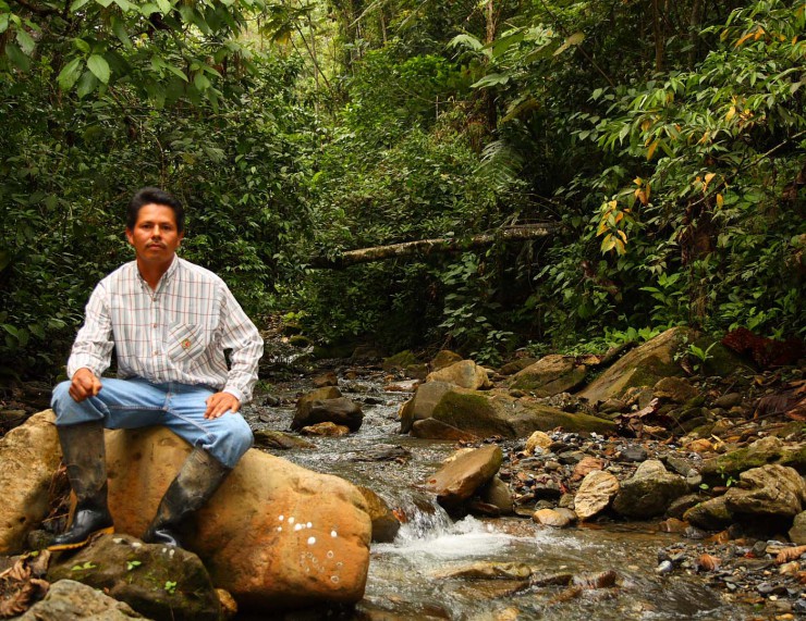 Saubere Flüsse dank Rainforest Alliance Certified