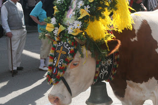 Huam zua - Almabtriebe feiern Rückkehr der Kühe ins Tal