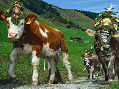 Almfestwoche im Alpenbad Hotel Hohenhaus