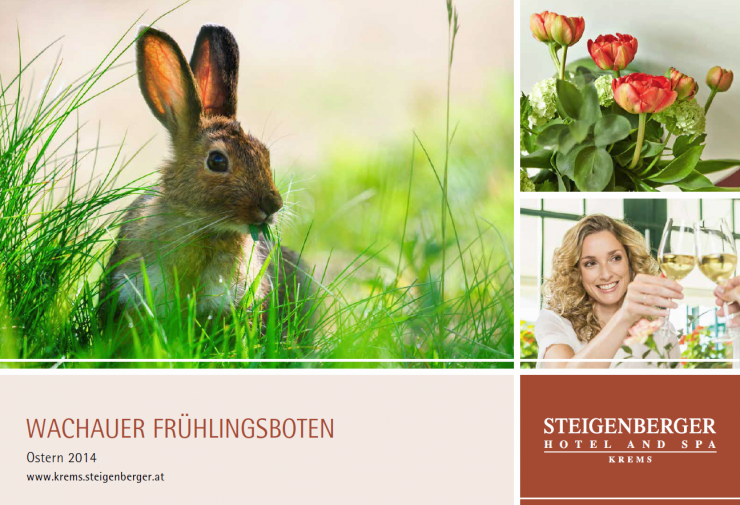 Wachauer Frühlingsboten - Ostern zwischen den Weinreben